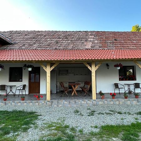 Villa Casa Andrei Cîrţişoara Esterno foto