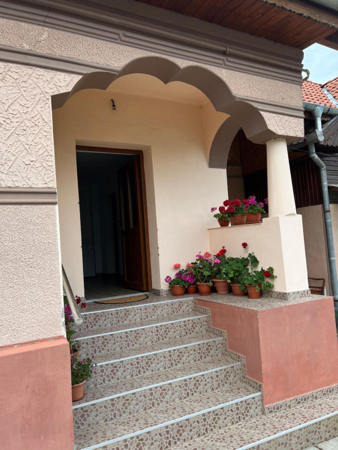 Villa Casa Andrei Cîrţişoara Esterno foto