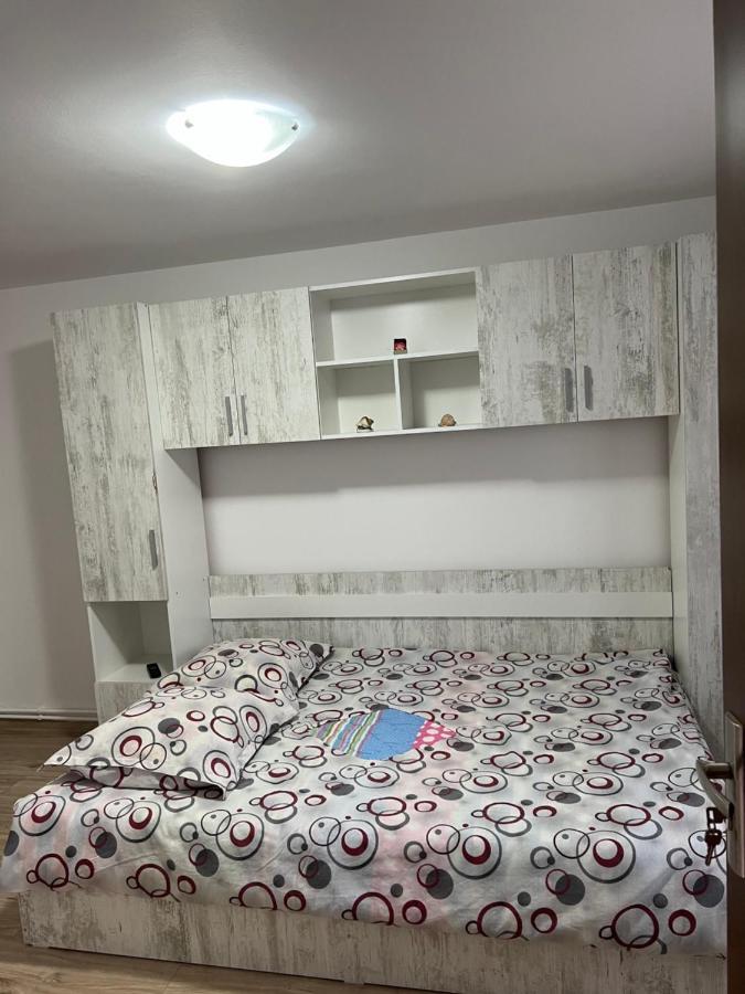 Villa Casa Andrei Cîrţişoara Esterno foto