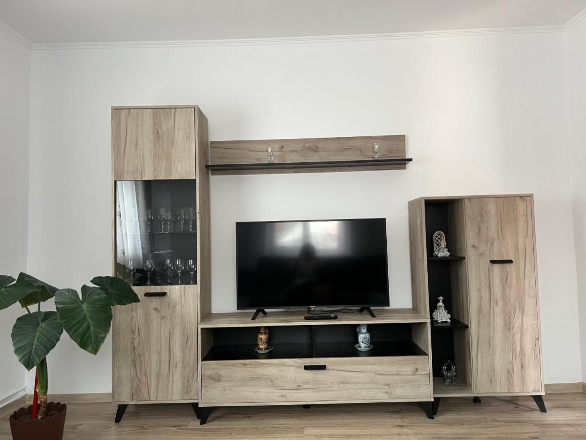 Villa Casa Andrei Cîrţişoara Esterno foto