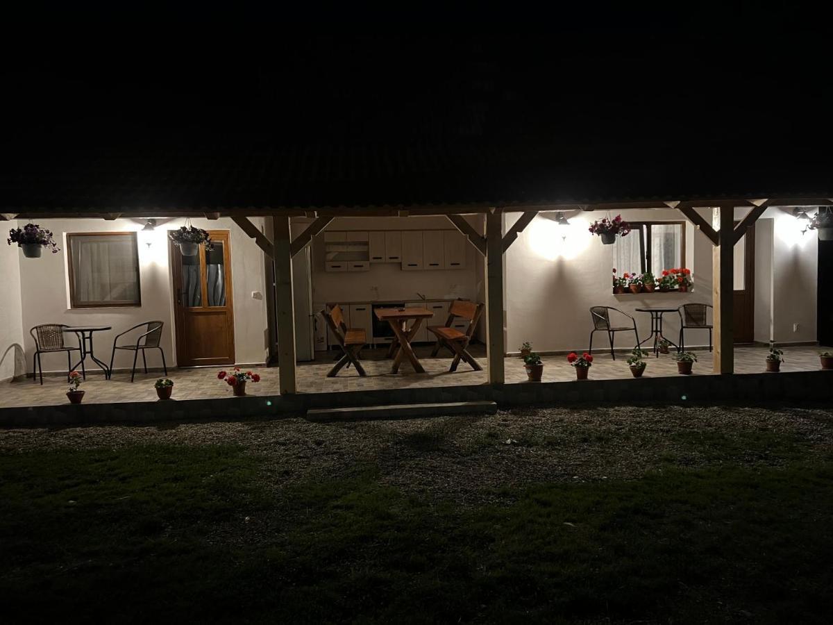 Villa Casa Andrei Cîrţişoara Esterno foto