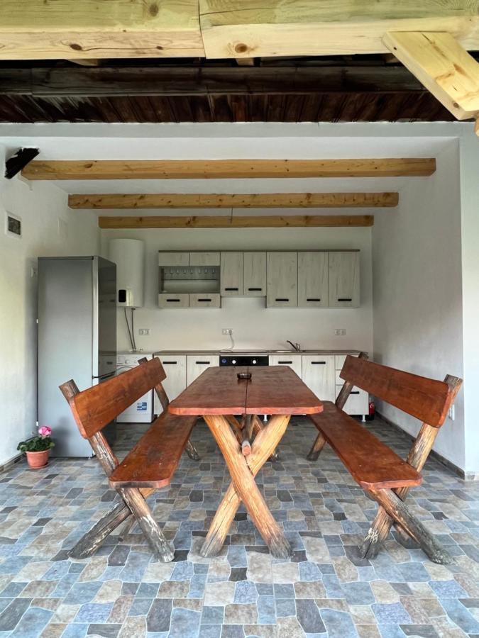 Villa Casa Andrei Cîrţişoara Esterno foto