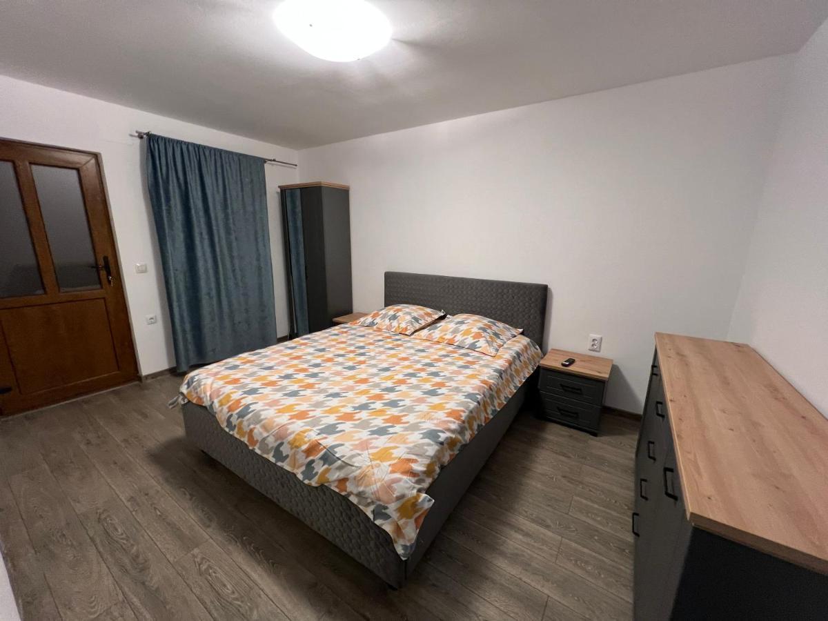 Villa Casa Andrei Cîrţişoara Esterno foto