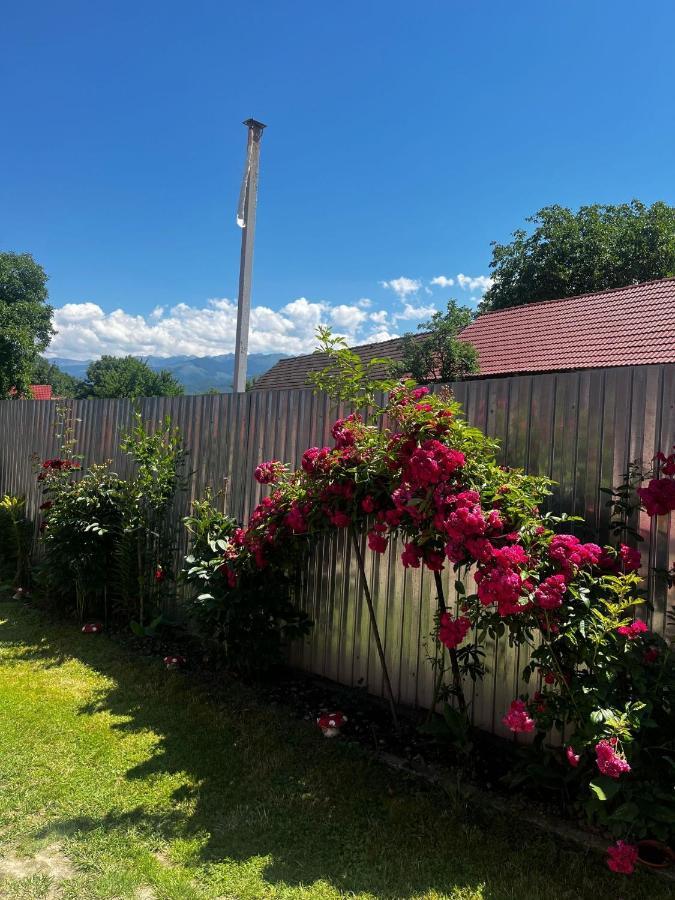Villa Casa Andrei Cîrţişoara Esterno foto