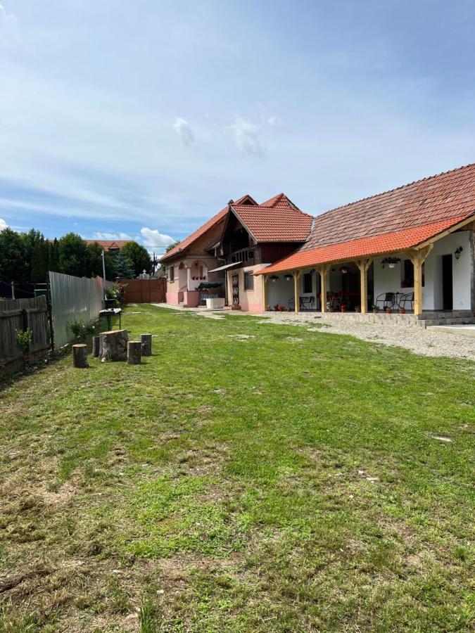 Villa Casa Andrei Cîrţişoara Esterno foto