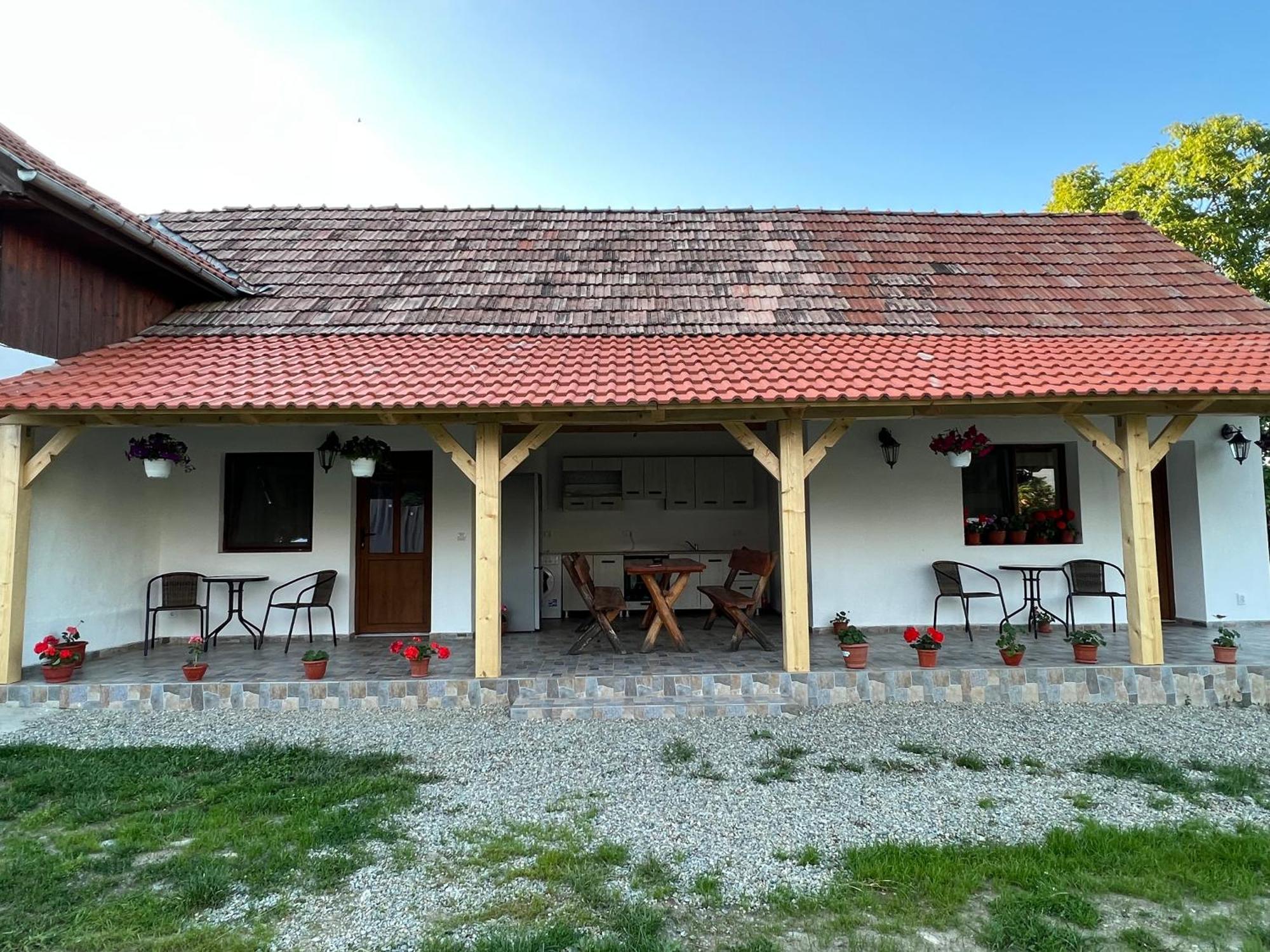 Villa Casa Andrei Cîrţişoara Esterno foto